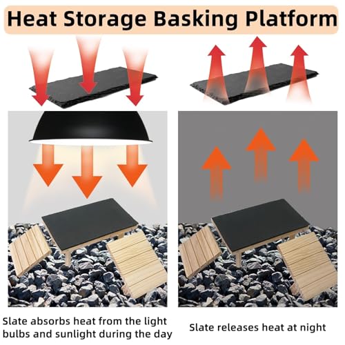 Bearded Dragon Platform Wooden Reptile Hideout Cave Climbing Tank Accessories with Reptile Basking Rock for Leopard Gecko Lizard Tortoise (Medium, 11.8 × 5.9 Inches) - size: Medium