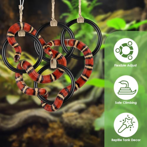 DBNESS 2PCS Snake Climbing Rings, Ball Python Enrichment Hoop Chain Toys, Adjustable Playground Reptiletank Cage Decor Accessories for Corn Snakes, Garter Snakes, Iguana, Lizards, Chameleons, Parrot