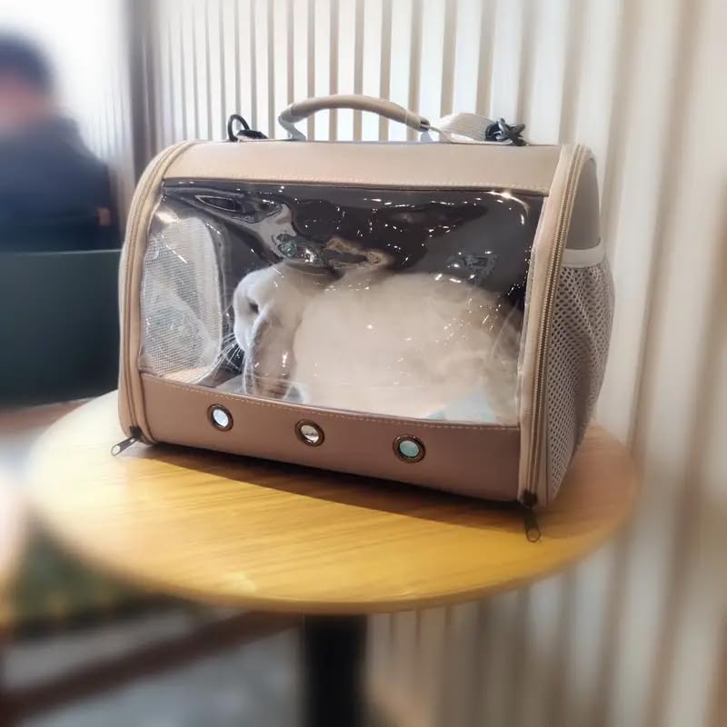 Bearded Dragon Travel Carrier Backpack,Lizard Backpack Carrier,Space Capsule Clear Bubble Window Astronaut Reptile Carrier Backpack for Guinea Pig,Sugar Glider,Bunny (Grey, TPU Carrier+MAT) - color: Grey