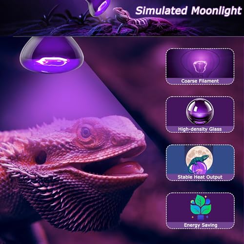 Reptile Moonlight Bulb 60W – Soft Purple Night Light for Nocturnal Viewing, Sleep-Friendly, 2000H Life, E26 Base - color: Purple Moonlight, size: 60W-2.5″