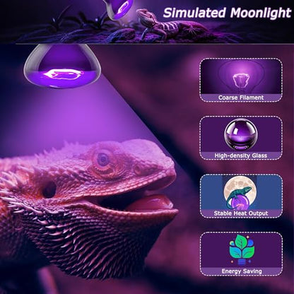 Reptile Moonlight Bulb 60W – Soft Purple Night Light for Nocturnal Viewing, Sleep-Friendly, 2000H Life, E26 Base - color: Purple Moonlight, size: 60W-2.5″