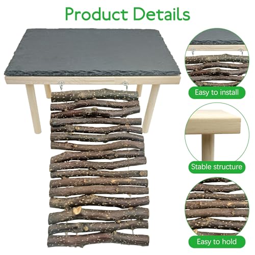 BNOSDM Basking Rock Platform with Climbing Ramp Reptiles Hideout Bearded Dragon Hide Cave Reptile Tank Accessories Suit for Tortoise, Lizard, Toad, Gecko (Large)