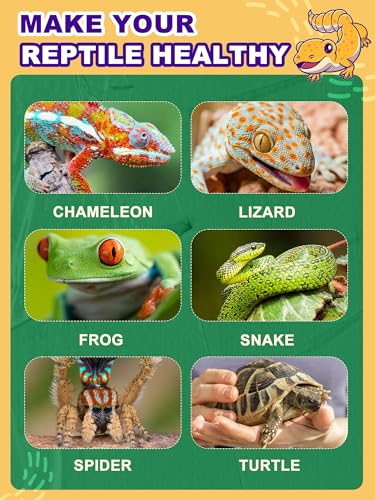 Heat Lamp Bulbs, 160 Watts UVA UVB Reptile Heat Bulb, 2 Pack | Full Spectrum, Basking Spot Light, Simulate Natural Sun Light, For Reptile and Amphibian, Silver - color: Pack of 2, size: 160 Watt