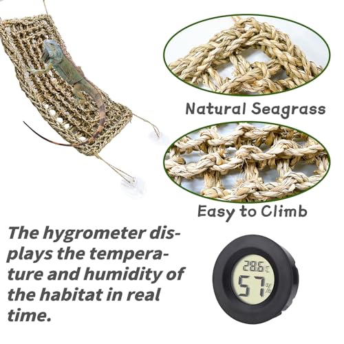 Tfwadmx 15Pcs Bearded Dragon Tank Accessories, Reptile Plants, Reptile Hammock, Lizard Habitat Decor with Terrarium Plants Hygrometer for Geckos Snakes Chameleons