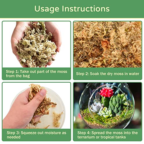 Riare 25QT Natural Sphagnum Moss for Reptiles 1.1LB Terrarium Reptiles Moss | Dried Terrarium Moss Bedding for Snakes Turtles Frogs Geckos Ball Pythons Lepard Gecko Lizards Bearded Dragon & Humid Hides - color: 1.1 LB