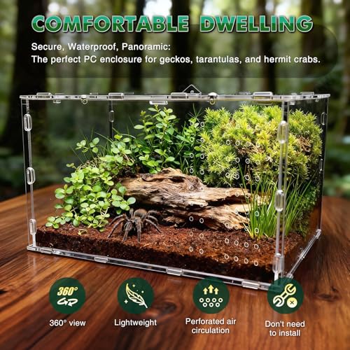 The Ultimate Small Animal Terrarium 7.9" x 5.9" x 11.8": A Versatile Reptile Serving as a Complete Starter Tank for a Wide Range of Species Including Lizards, Geckos, Frogs, Crabs, and Spiders