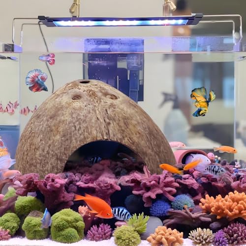 Hamiledyi 5 Pcs Reptile Plants Terrarium Hanging Fake Plant Leaves and 7 Pcs Reptile Hideouts Natural Coconut Shells Hut Leopard Gecko for Hermit Crab Hide Cave Small Snake Tarantulas Lizard Chameleon