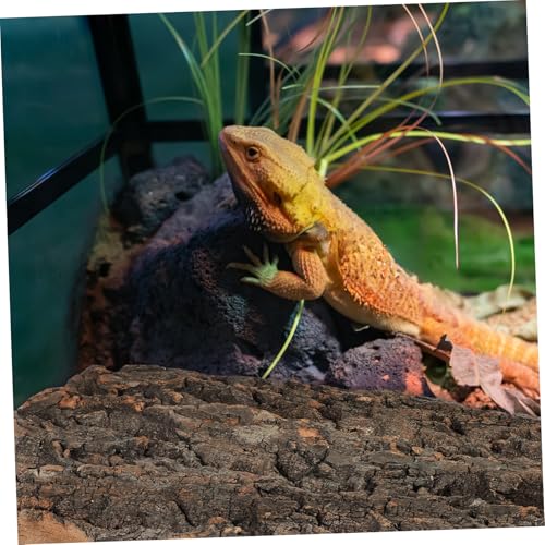 Luxshiny 2 Pcs Natural Cork Bark Aquarium Bark Terrarium Decor for Reptiles and Fish Tanks Climbing and Hiding Spots for Bearded Dragons Lizards Geckos Safe and Easy to Install Wall