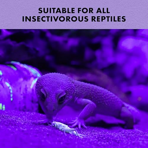 Zilla Cricket Glow Powder — add to Reptile Food for a Fun Twist, More exciting Than Plain Calcium Powder Fluoresces Under Black Light, Ideal for Insectivores, 4 Ounces - size: 4 Ounce (Pack of 1)