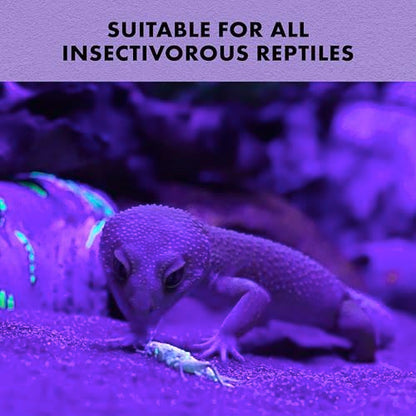 Zilla Cricket Glow Powder — add to Reptile Food for a Fun Twist, More exciting Than Plain Calcium Powder Fluoresces Under Black Light, Ideal for Insectivores, 4 Ounces - size: 4 Ounce (Pack of 1)
