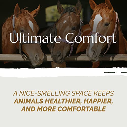 Aubiose French Hemp Bedding 44lb — Chicken Coop & Horse Stall Bedding | Ultra Low Dust, Odor Control, Deep Litter Ready | Premium Hemp Shavings for Chickens, Horses, Rabbits & Small Animals - size: Pack of 1