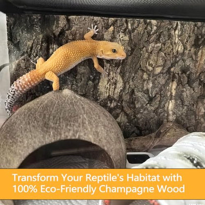 BNOSDM 4PCS Cork Bark Background,11.8" x 7.9" Natural Reptile Terrarium Backdrop, Lizard Climbing Wall Decor for Bearded Dragon Leopard Gecko Snake Chameleon