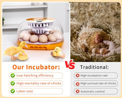 Gpeng Egg Incubator, 12 Eggs Incubator with Auto Egg-Turning, Auto Temperature Control, for Hatching Chicken Goose Pigeon Quail Duck - size: 12-Eggs