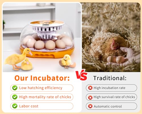 Gpeng Egg Incubator, 12 Eggs Incubator with Auto Egg-Turning, Auto Temperature Control, for Hatching Chicken Goose Pigeon Quail Duck - size: 12-Eggs