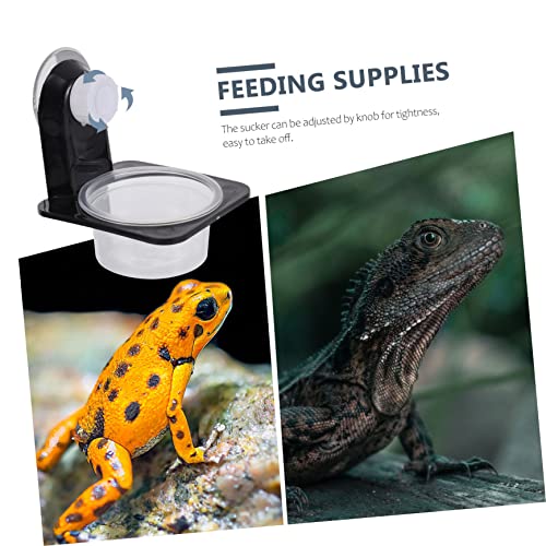 Toddmomy Reptile Feeding and Drinking Bowl Durable Worm Container with Suction Cup for Easy Feeding of Geckos Tortoises and Other Pets Compact Design for Space-Saving Use