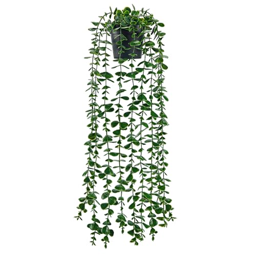 Der Rose 24.8'' Fake Hanging Plants Artificial Potted Eucalyptus Vine Plants Indoor and Outdoor for Office Home Living Room Bathroom Wall Shelf Decor (1Pack) - size: 24.8"-Fake Eucalyptus