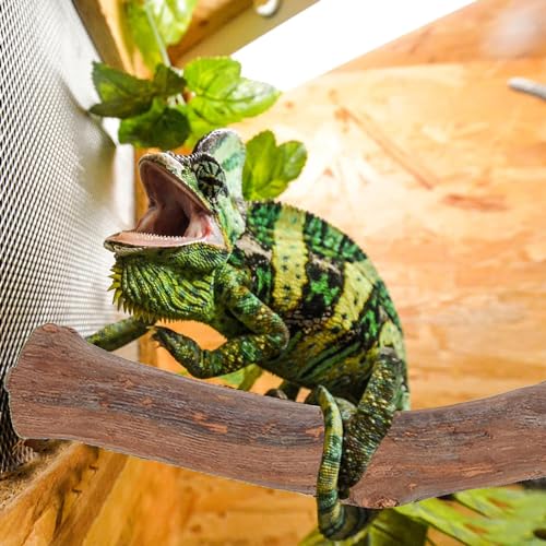 2pcs,Reptile Branch Decor, Natural Forest Branch Terrarium Climb Corner Tree Branch Background Decoration Plant Decoration with Suction Cup for Snake Lizard and Leopard Gecko