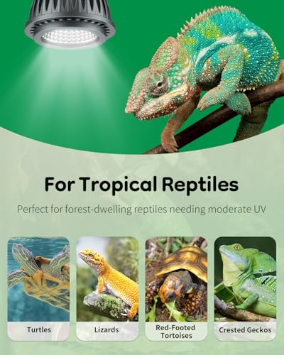 Pawfly UVB Light for Reptiles, 3 W 5.0 UVB Bulb, Tropical Reptile UVA UVB Lamp for Calcium & Vitamin D3 Synthesis, High Intensity LED Lamp for Turtle, Lizard & Red-Footed Tortoise - size: 3 W 5.0 UVB