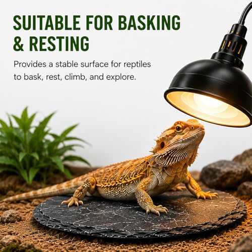 Natural Slate Reptile Basking Platform Feeding Stone for Tortoise Gecko Terrarium Decor(Round Plate) - size: ROUND PLATE