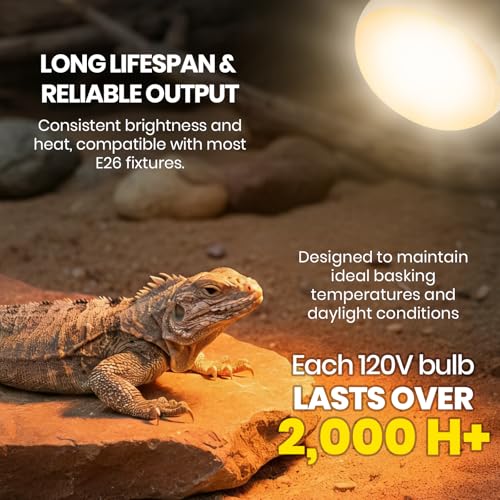 CALPALMY 4-Pack 150W Reptile Heat Lamp Bulb, UVA Daylight Basking Light for Reptiles, Bearded Dragon, Lizard, Turtle, Snake, Tortoise, Chicken – Flat Bottom Design, Long Lifespan, 120V E26 Base