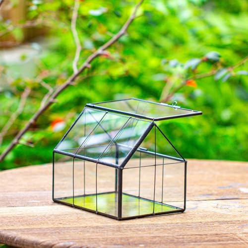 NCYP Mini Glass Terrarium with Lid - 6.1" x 4.25" x 4.92" House Shape Closed Planter for Mini Cactus, Succulents Plant, Moss - Home Garden Office Tabletop Geometric Decor, Black (Terrarium Only) - size: 6.1x4.25x4.92 inches