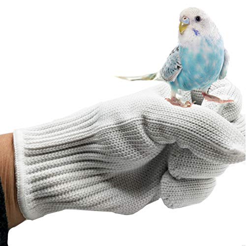 alfyng Bird Training Anti-Bite Parrot Chewing Protective Gloves, Small Animal Handling Gloves for Parrotlets Cockatiels Finch Macaw (1 Pair White) - color: White