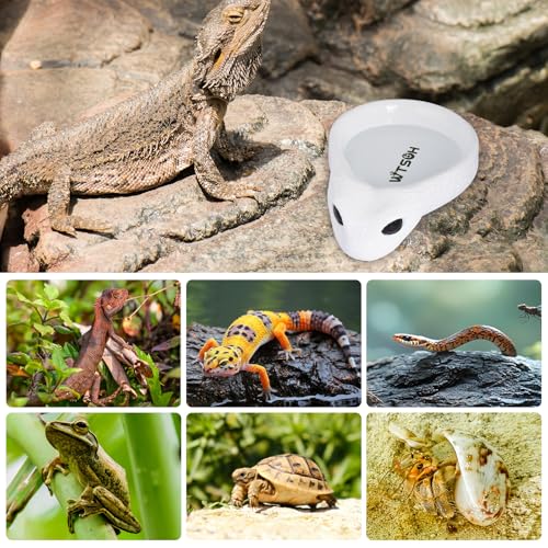 Reptile Water Dish - Snake Water Bowl, Gecko Food Cups, Crested Gecko Feeding Dish, Tortoise Food Bowl, Stable Resin Design for Small Reptiles, Perfect for Terrariums and Enclosures (White) - color: white