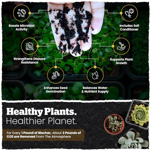 Wakefield Biochar Blend Potting Mix for Cactus & Succulent – Premium Potting Soil Blend with CarbonBoost Technology for Superior Drainage, Moisture Retention & Root Growth – 2 QT Organic Soil Mix - size: 2 Quart