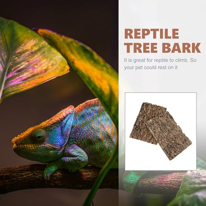 Homoyoyo 2Pcs Reptile Bark Decor Wood,Natural Cork Bark,Reptile Habitat Climbing Tree Bark Terrarium Landscaping Tree Bark Tree for Bearded Dragon Lizard Geckos Tortoise Random Shape
