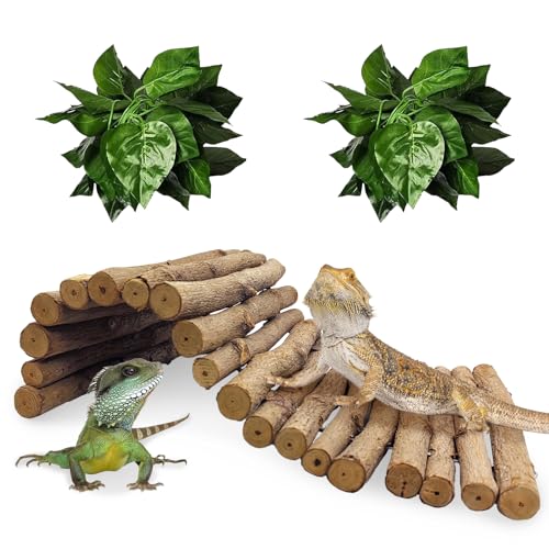 Hamiledyi 11.8 x 6.7 Inches Wooden Reptile Hideout Bearded Dragon Bendy Bridge Climbing Ladder Hiding Hut Reptiles Hide Cave Habitat Decor for Lizards Gecko Spiders Snakes Tortoise(Medium)