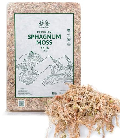 Long Fiber Sphagnum Moss for Indoor Plants Peruvian Orchid Moss Ultra Clean Odor Free Fast Expanding Moisture Retention Airy Drainage for Aroids Carnivorous Plants Terrarium Reptile Bedding (11lb) - size: 11lb