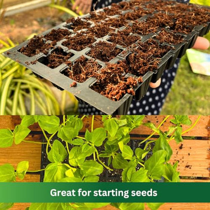 Premium Coco Coir by PlantoCare – Professional Grade Coconut Coir Growing Medium, pH Neutral & Low EC – Ideal for Seed Starters, Potting Mix, Hydroponics & Houseplants [5 Bricks of 650 Grams Each] - style: 5 Bricks (650 gram each)