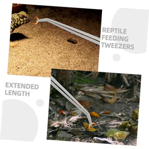 2pcs Heavy-Duty Stainless Steel Reptile Feeding Tongs Curved Aquarium Tweezers for Terrarium Use Long Handle Tweezers for Feeding Lizards and Aquatic Plants