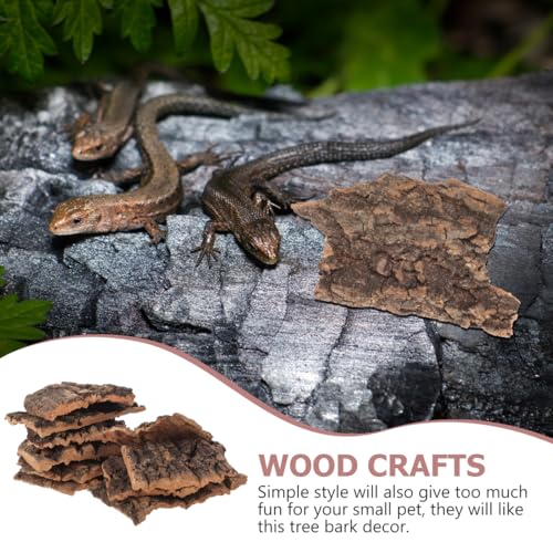Homoyoyo 10Pcs Reptile Tree Bark Decor Natural Cork Bark Platform for Lizards Turtles Chameleons Terrarium Climbing and Basking Habitat Accessories