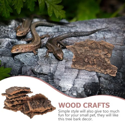 Homoyoyo 10Pcs Reptile Tree Bark Decor Natural Cork Bark Platform for Lizards Turtles Chameleons Terrarium Climbing and Basking Habitat Accessories
