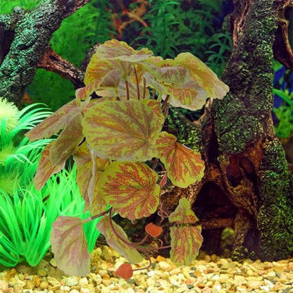 Cabilock Hanging Reptile Plant with Suction Cup Artificial Green Begonia Leaves 23-Leaf Lifelike Terrarium Decor for Amphibian Habitat and Reptile Tank Supplies