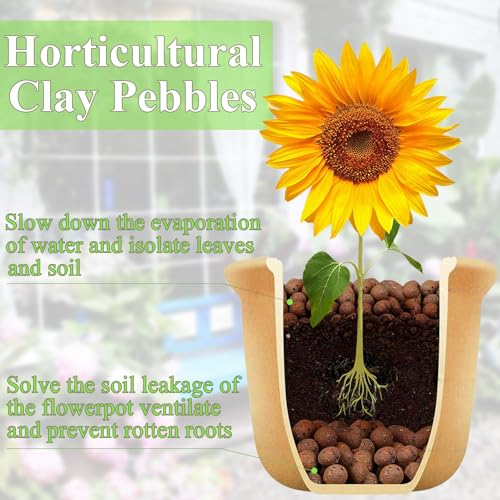 FANTIAN Clay Pebbles for Plants, 2 lbs, 8-12 mm | Leca Clay Balls, Indoor Plants, Orchid Potting Mixes, Hydroponic Growing, Aquatic Plant Soil Drainage - color: Clay Pebbles