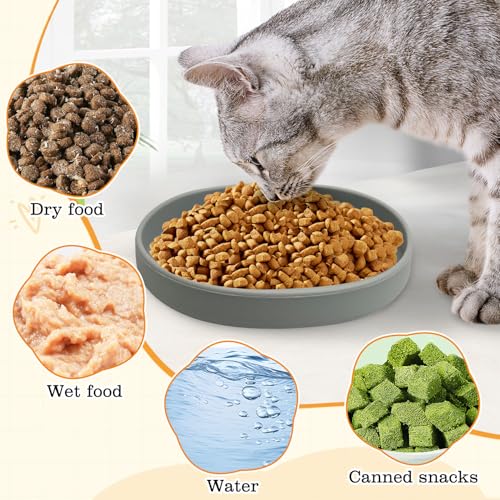 BNOSDM Silicone Dog Food Plate Shallow Dog Bowl Flat Cat Dish 2 Pack Small Puppy Plates for Small Dogs and Cats Whisker Fatigue Pet Feeding Bowls for Dry and Wet Food (Light Brown) - color: 2 Pcs - (Light Brown)