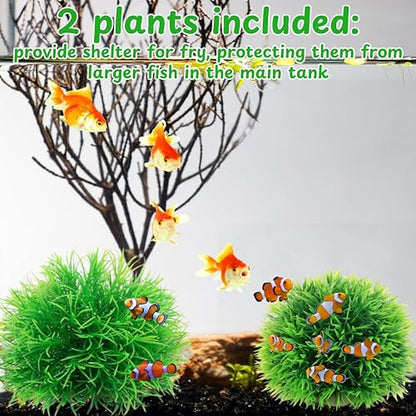 Betta Guppy Breeding Box for Fish Tank and Artificial Plants, Floating Guppy Breeding Box with Suction Cups, Acrylic Breeder Isolation Incubator for Aquarium Tank, Hatchery Breeder Chamber (Green, M)