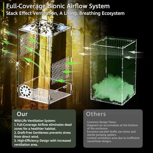 Jumping Spider Enclosure, Front-Opening Acrylic Spider Terrarium with Magnetic Door,Laser-Cut Biomimetic Ventilation System, Escape-Proof for Feeder Insects (6.5"x6.5"x12") - size: 6.5"x6.5"x12"