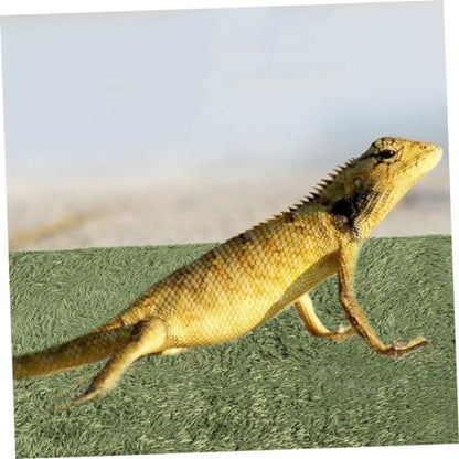 MERRYHAPY Decorative Artificial Lawn for Reptile Enclosure Snake Habitat Accessories Moss Terrarium Pad Lizard Tank Accessories Tortoise Habitat Double-Sided Absorbent Mat