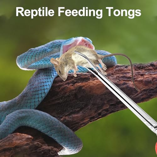 2PCS Reptile Feeding Tongs, Extended Stainless Steel Snake Feeding Tongs, Straight and Curved Feeding Tong, can be used for Snakes, Reptiles, Bathtubs, Aquarium Terrarium Supplies（15 "）