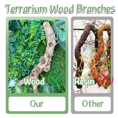 Reptile Climbing Branch with Cork Branch for Reptiles Climbing Branches 2 Pack Natural Tree Frog Cork Wood Stick Crested Geckos Habitat Decor