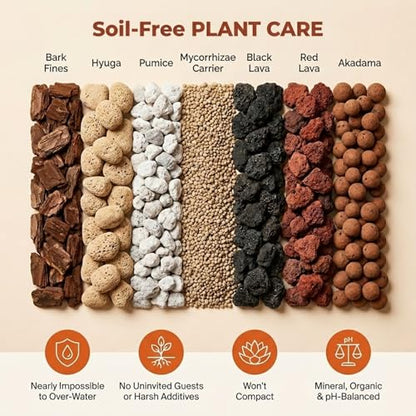 Molly's Succulent Mix - Premium Gritty Soilless Potting Mix for Succulents, Cactus and Bonsai - Contains Akadama, Hyuga, Bark Fines, Pumice, Lava Rock, Mycorrhizae 5 Dry Quarts - size: 5 Dry Quarts, style: Succulents & Cacti