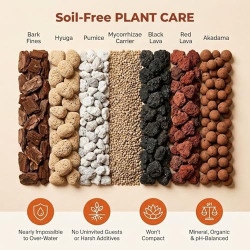 Molly's Succulent Mix - Premium Gritty Soilless Potting Mix for Succulents, Cactus and Bonsai - Contains Akadama, Hyuga, Bark Fines, Pumice, Lava Rock, Mycorrhizae 3 Dry Quarts - size: 3 Dry Quarts, style: Succulents & Cacti
