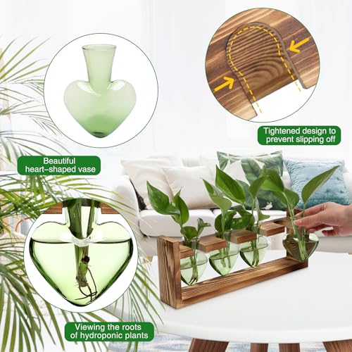 Plant Propagation Stations Heart Plant Terrarium Kit Gift for Women Plant Lover Glass Vases - color: Green
