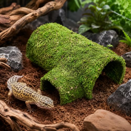 Mossy Reptile Hide for Terrariums, T-Shaped Cave with Dual Openings for Leopard Geckos, Small Lizards, Frogs, Hermit Crabs and Small Snakes, 7.1 in