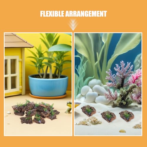 BESPORTBLE 36Pcs Tree Bark for Reptile Terrarium Background - Natural Decorative Bark Pieces for Gecko Chameleon Lizard Enclosure Hideout Climbing Accessory