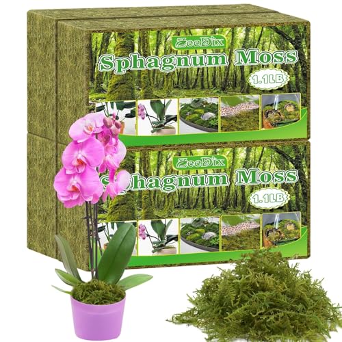 ZeeDix 4-Pack Premium Sphagnum Moss - 4.4 lb Natural Orchid Moss Plant Growing Medium for Terrariums, Orchids, Carnivorous, Succulents & Reptile Habitat Substrate - color: 4 pack