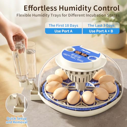 12 Egg Incubators for Hatching Eggs, Temperature and Humidity Control, Automatic Egg Turning, Egg Candler, Automatic Water Refill, for Chicken, Quail & Duck Eggs, Perfect for Home, Farm, Classroom - size: 12 Eggs